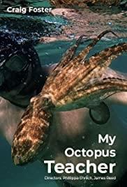 My Octopus Teacher cover art