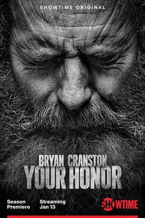 Your Honor Season 2 cover art
