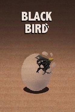 Black Bird cover art