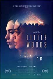 Little Woods cover art