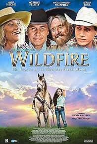 Wildfire: The Legend of the Cherokee Ghost Horse cover art