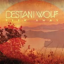 Destani Wolf cover art