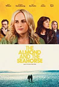The Almond and the Seahorse cover art