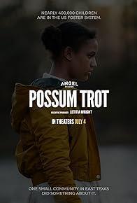 Possum Trot cover art
