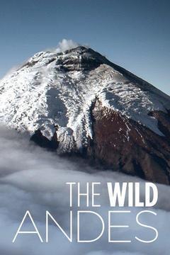 The Wild Andes cover art