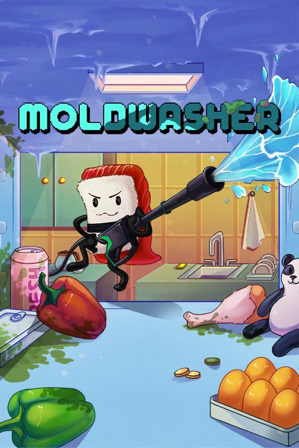 Moldwasher