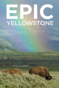 Epic Yellowstone Season 1 cover art