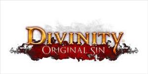 Divinity: Original Sin cover art