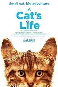 A Cat's Life cover art