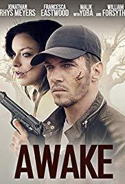 Awake (I) cover art