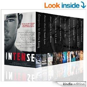 inTENse: A Collection of 10 Full Length Erotic Romance Bestsellers cover art