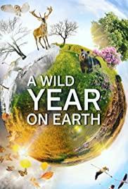 A Wild Year on Earth Season 1 cover art