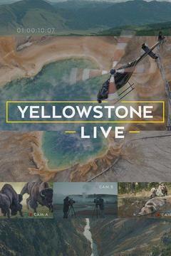 Yellowstone Live Season 2 cover art