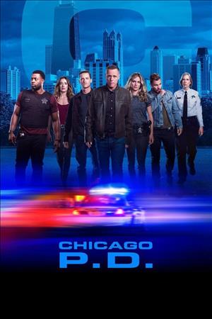 Chicago P.D. Season 10 cover art