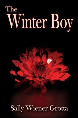 The Winter Boy cover art