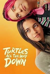 Turtles All the Way Down cover art