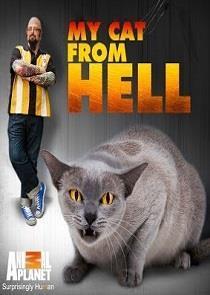 My Cat from Hell Season 8 cover art