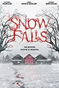 Snow Falls cover art