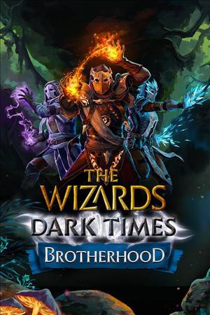 The Wizards - Dark Times: Brotherhood cover art