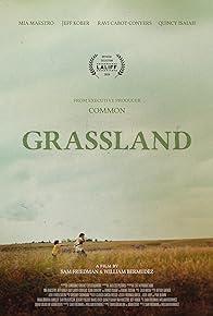 Grassland cover art
