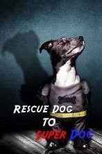 Rescue Dog to Super Dog Season 1 cover art