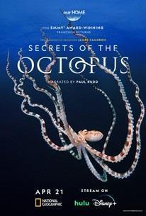Secrets of the Octopus Season 1 cover art