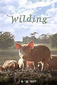 Wilding cover art