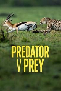 Predator v Prey Season 1 cover art