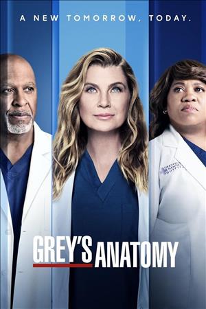 Grey's Anatomy Season 19 cover art