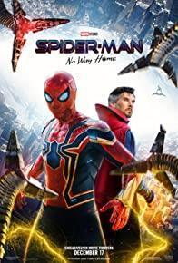 Spider-Man: No Way Home cover art