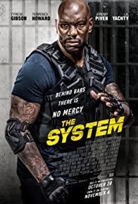 The System cover art