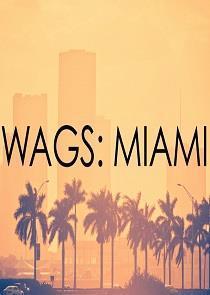 WAGS Miami Season 1 cover art