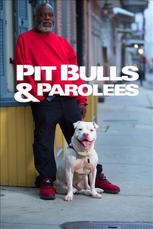 Pit Bulls & Parolees Season 19 cover art