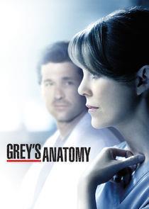 Grey’s Anatomy Season 12 (Part 2) cover art