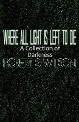 Where All Light is Left to Die: A Collection of Darkness cover art