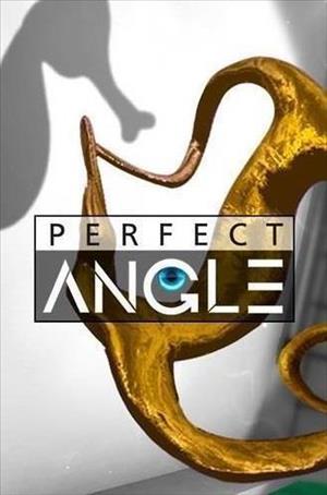 Perfect Angle cover art