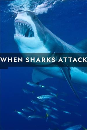 When Sharks Attack Season 6 cover art