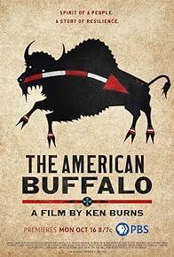 The American Buffalo cover art