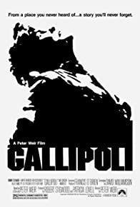 Gallipoli cover art