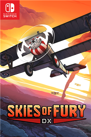 Skies of Fury DX cover art