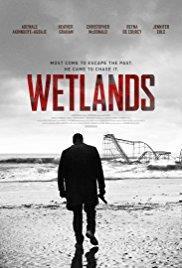 Wetlands cover art