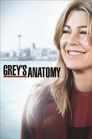 Grey's Anatomy Season 17 cover art
