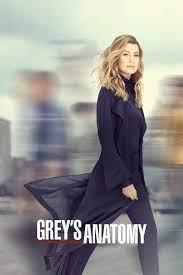 Grey's Anatomy Season 18 cover art
