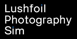Lushfoil Photography Sim cover art