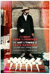 The Melt Goes on Forever: The Art and Times of David Hammons cover art