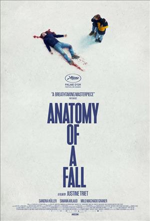 Anatomy of a Fall cover art