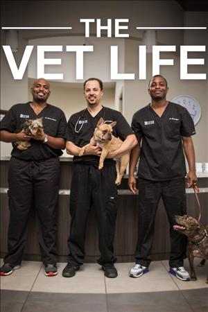 The Vet Life Season 3 cover art