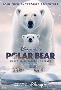 Polar Bear cover art