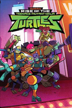Rise of the Teenage Mutant Ninja Turtles Season 2 cover art
