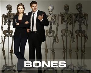 Bones Season 10 Episode 4: The Geek in the Guck cover art